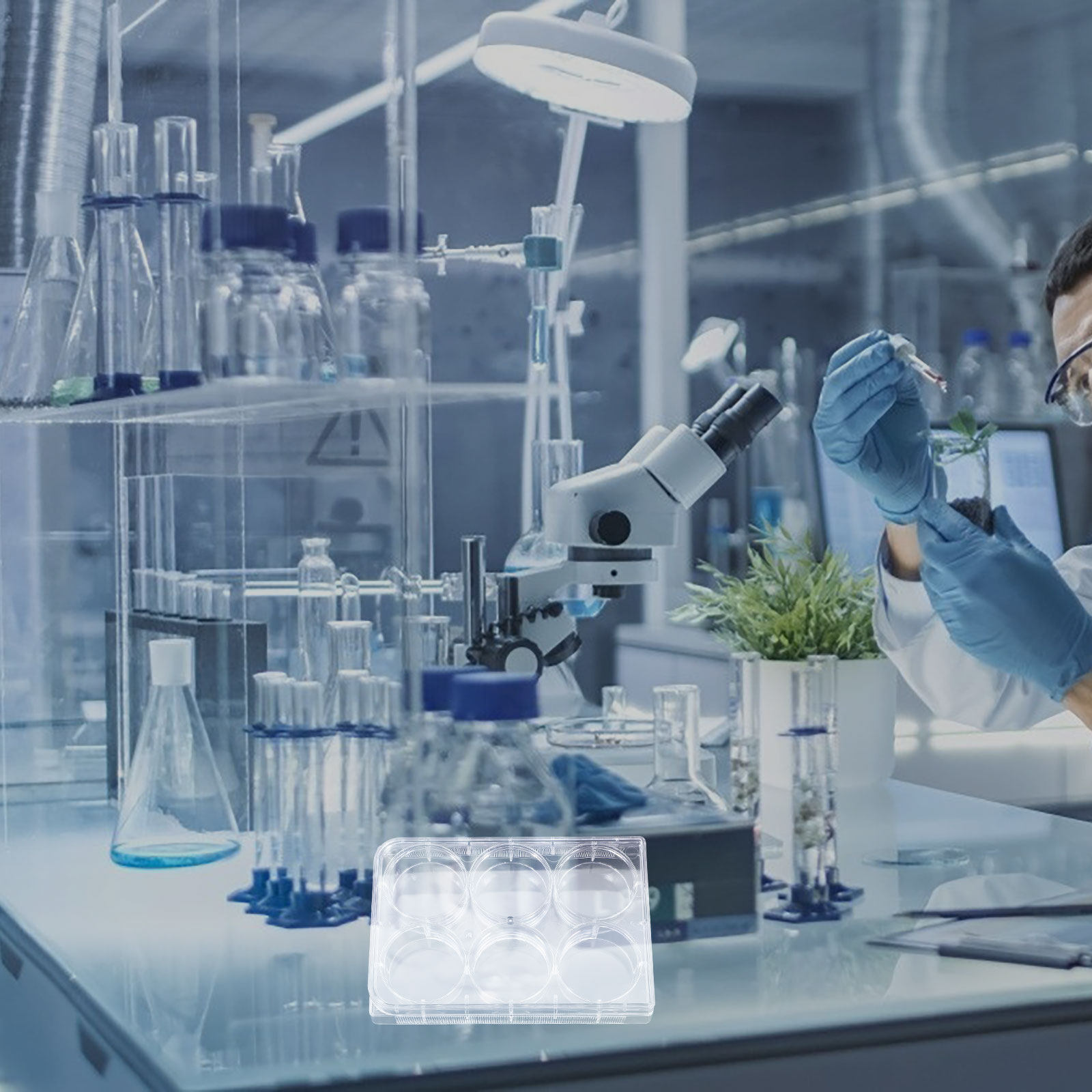 Placa para Cultura de Tecidos  - Lab Equipment avaliação e preço